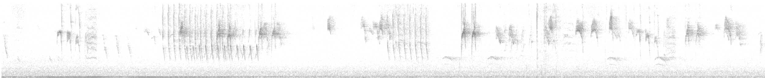 Sittelle à poitrine blanche (aculeata/alexandrae) - ML615327938