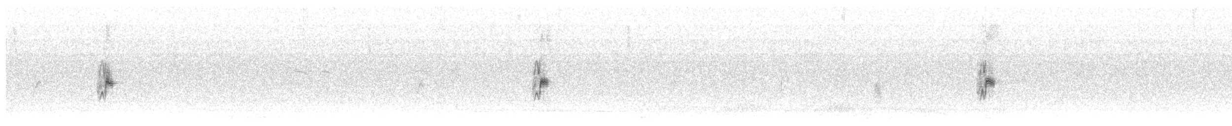 Pallasammer - ML615331095