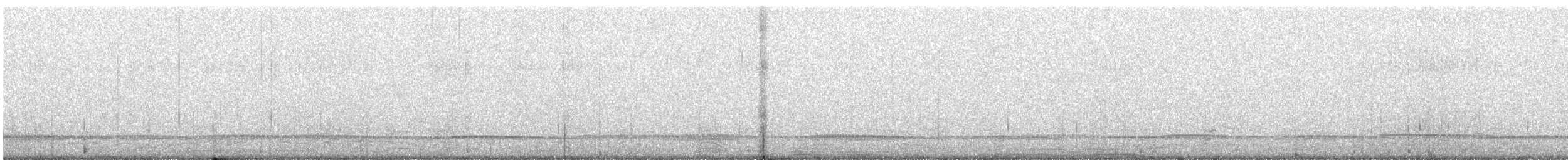 Black Scoter - ML615332446