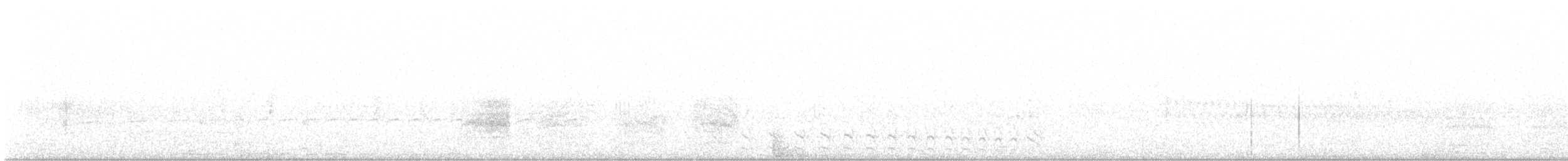 Barred Antshrike - ML615332652