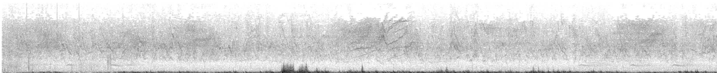 Fichtenzeisig - ML615334949