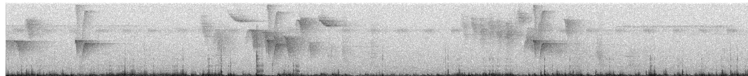 Schwarzflecken-Todityrann - ML615337631