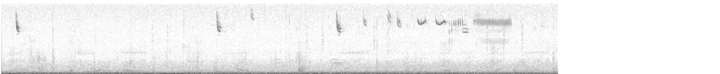 Savannah Serçesi [guttatus grubu] - ML615337952