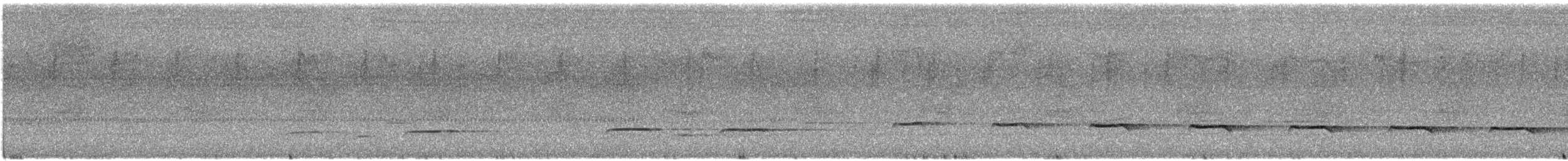 Кустарниковая кукушка [группа variolosus] - ML615338053