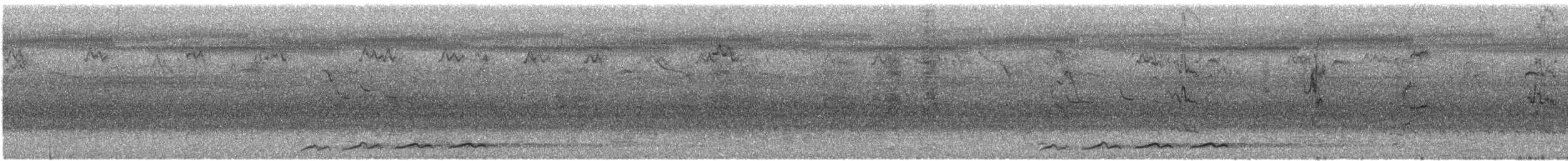 Pasifik Koeli (cyanocephalus/subcyanocephalus) - ML615338590