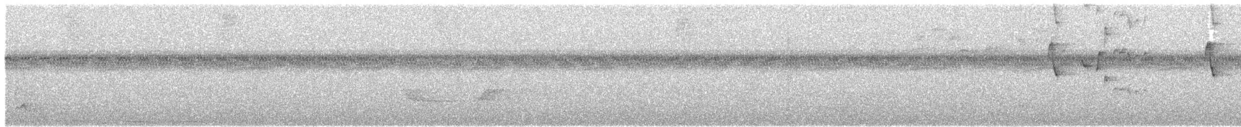 Чешуегорлый колибри-отшельник - ML615343749