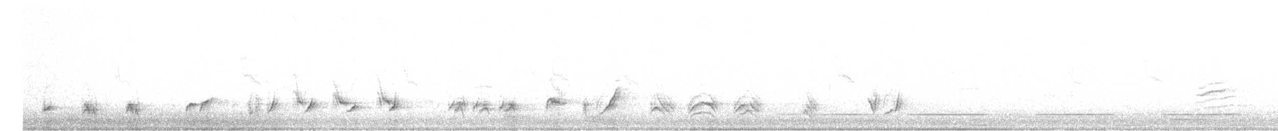 Curve-billed Thrasher (palmeri Group) - ML615349835