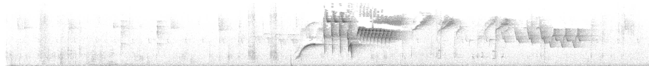 Воротничковый тохи - ML615351309