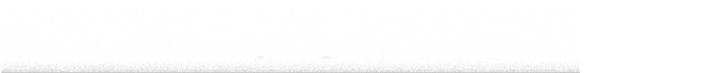Green-winged Teal (Eurasian) - ML615351847