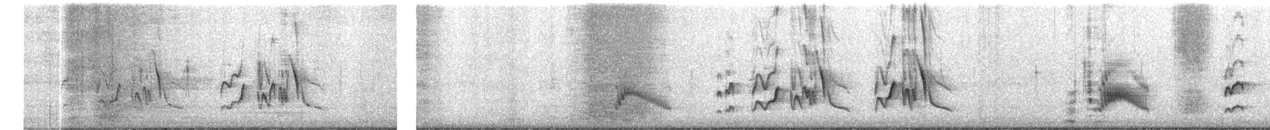 Tyran de Couch - ML615352481
