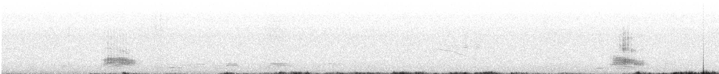 Corvus sp. (crow sp.) - ML615354274