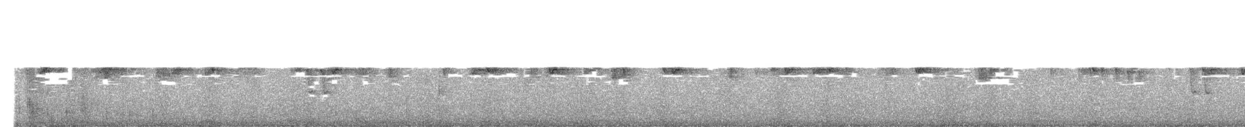 Пестрогорлый колибри-отшельник - ML615354469