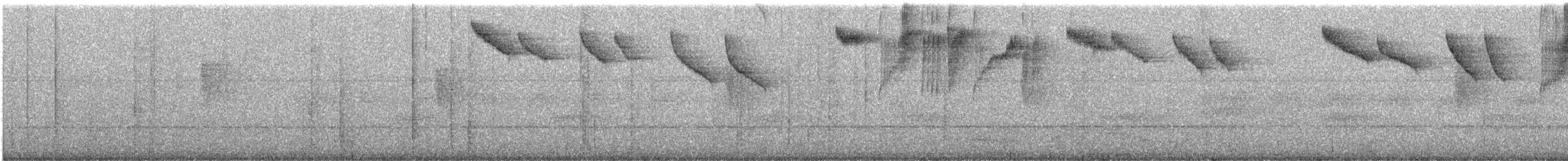 Band-tailed Barbthroat - ML615354783