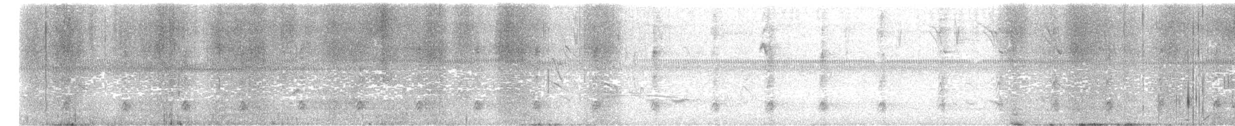 Tucanete Gorjiblanco - ML615359340