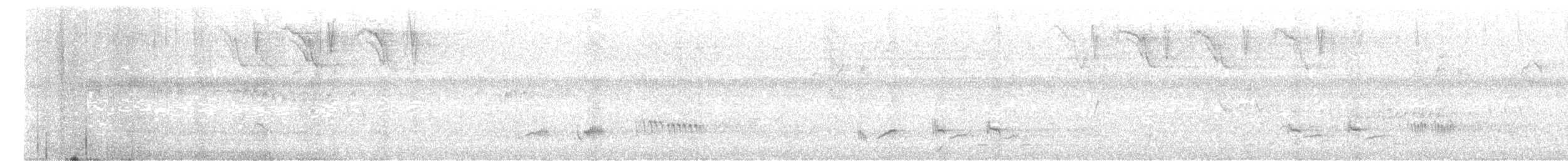 Sinsonte Tropical - ML615359462