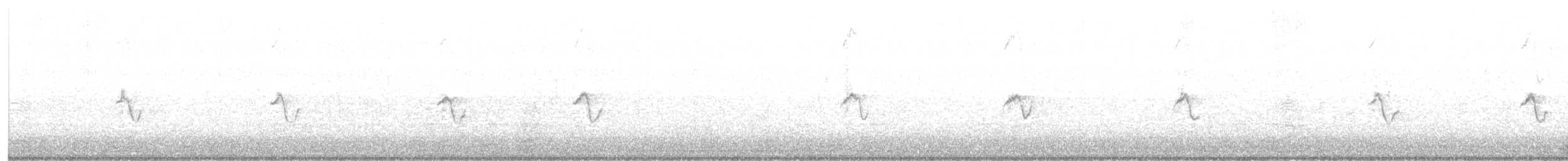Вівчарик-ковалик [група collybita] - ML615359580