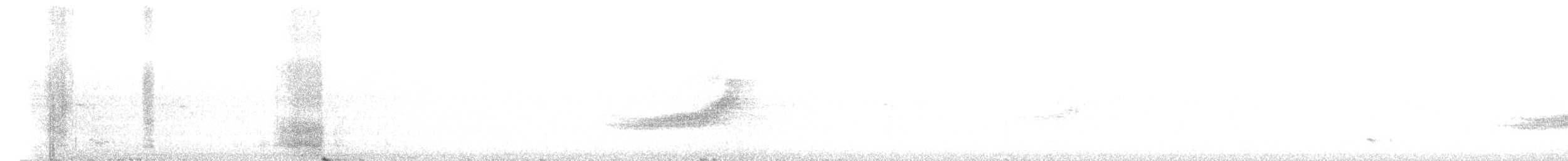 Длиннохвостый коэль - ML615359768