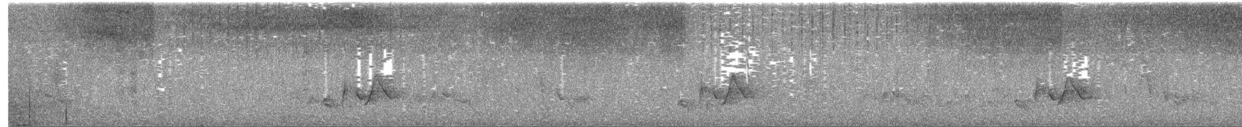 Vireo Ojiblanco - ML615359896