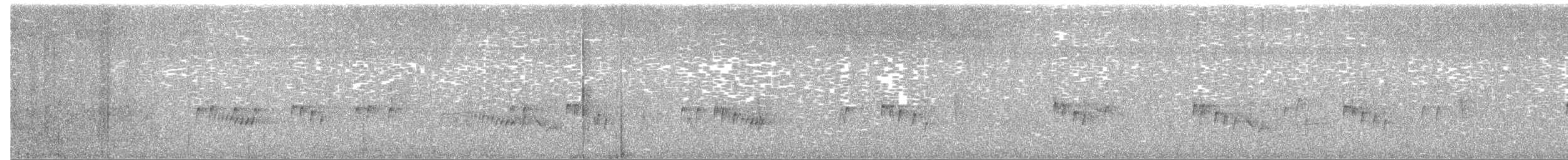 Поплітник каролінський - ML615359904