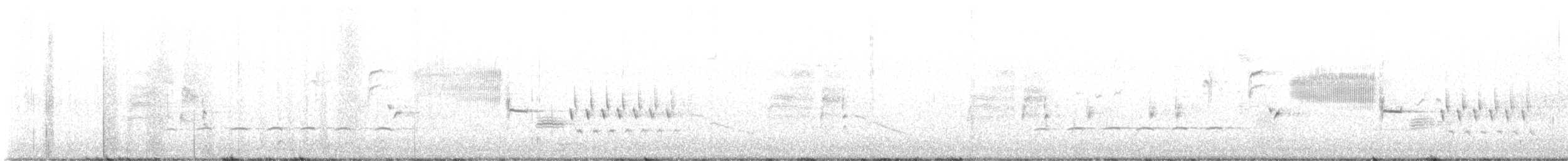 gråduskmeis x svartduskmeis (hybrid) - ML615360367