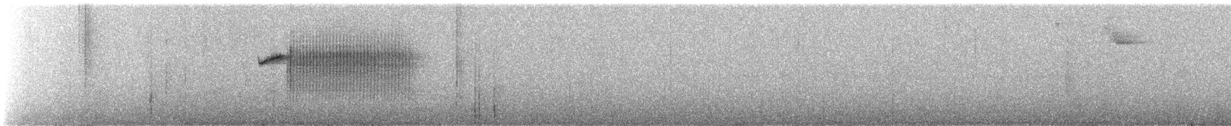 Percefleur à flancs blancs - ML615363774