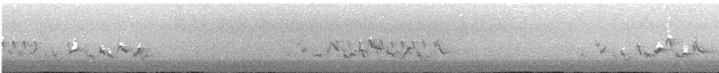 Warbling Vireo (Western) - ML615364143