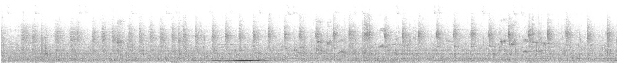 holub bledočelý [skupina verreauxi] - ML615366060