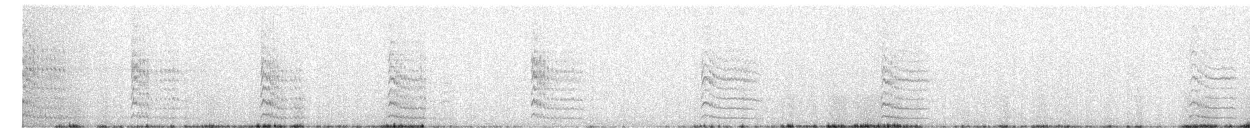 Дятел-смоктун білочеревий - ML615367201
