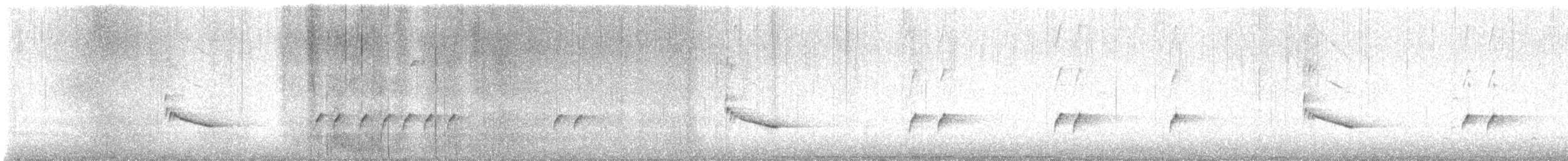 Каролинский крапивник - ML615367733