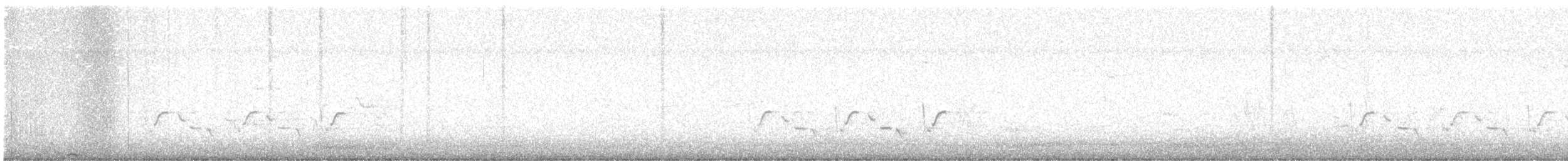 Каролинский крапивник - ML615370612