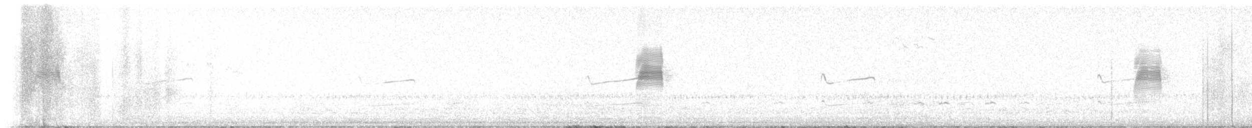 Bécasse d'Amérique - ML615370893