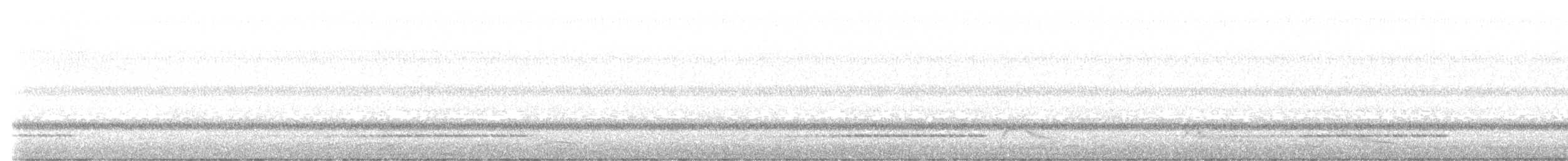 Pauraquenachtschwalbe - ML615371142