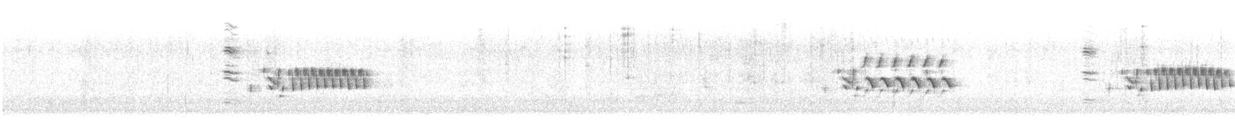 Troglodyte de Latham - ML615374876