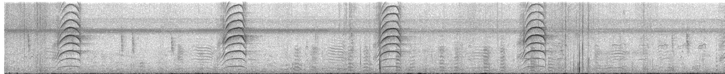 Schwefelmaskentyrann - ML615375317