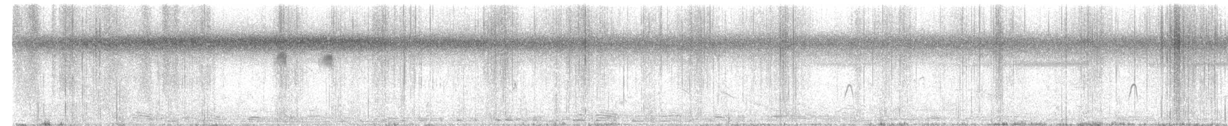 konipas luční (ssp. feldegg) - ML615375422