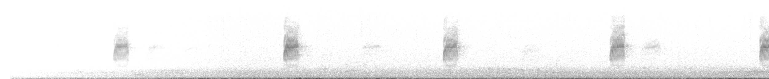 American Woodcock - ML615376671