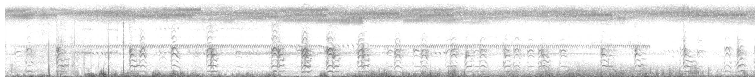 Weißgesicht-Stelzenläufer - ML615377567