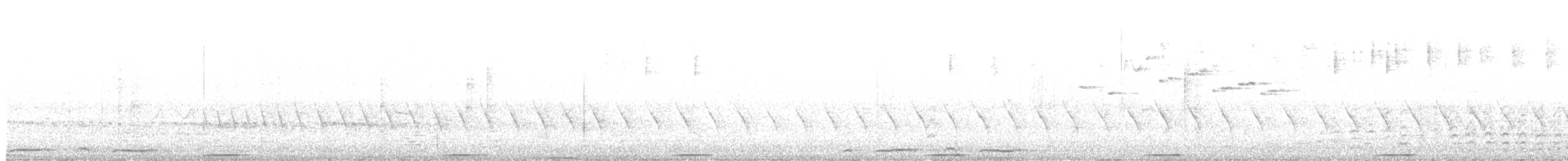 holub pestrokřídlý - ML615377601