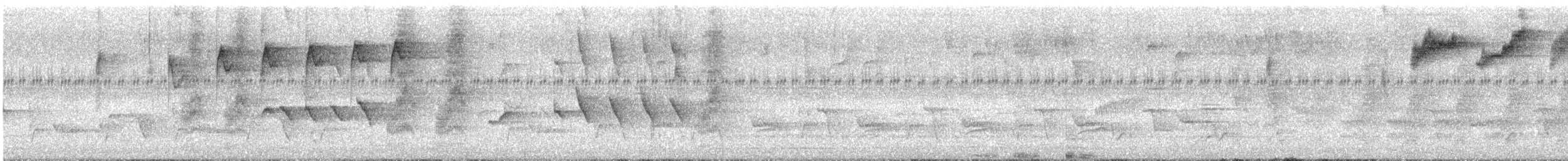 Филиппинский дронго (mirabilis) - ML615378630