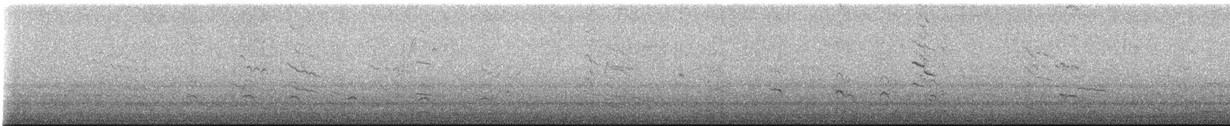 アメリカオオセグロカモメ - ML615379771