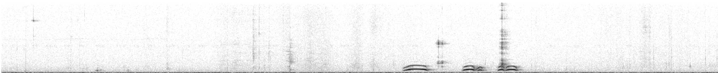 Chouette de Hadoram - ML615384921
