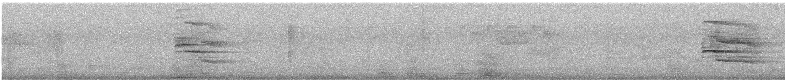 Indian Gray Hornbill - ML615385338