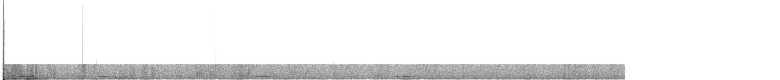 holoubek šedomodrý - ML615385364