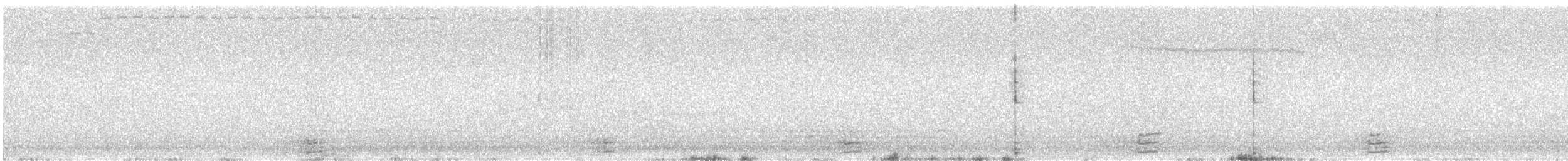 Чёрная казарка (hrota) - ML615385424