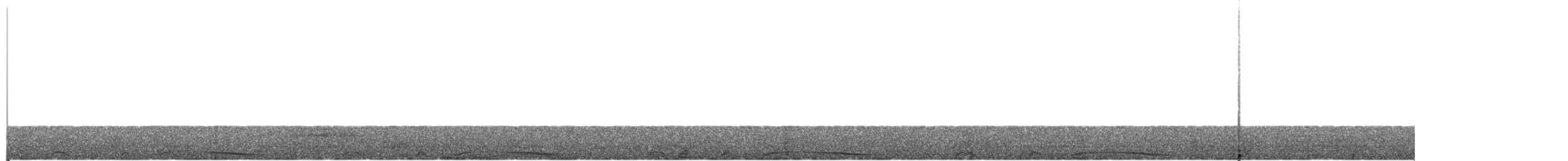 holub neotropický - ML615385735