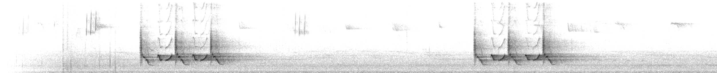 Каролинский крапивник - ML615388751