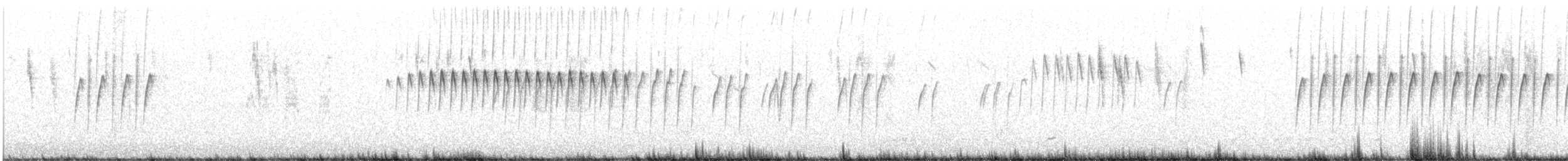 Southern Whiteface - ML615391336