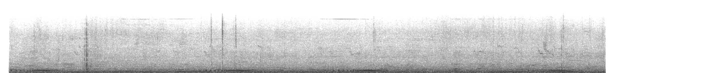 カワラバト（ドバト、家畜型） - ML615395252