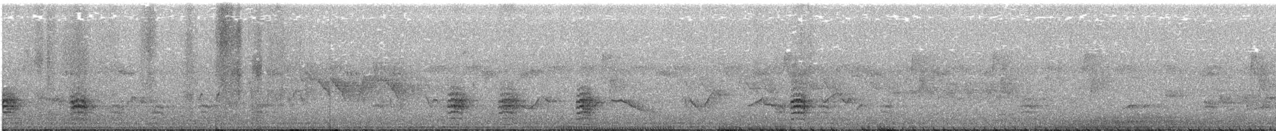 White-breasted Nuthatch - ML615398130