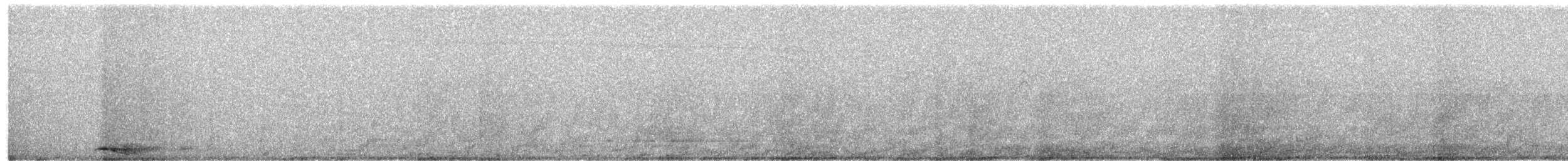 領角鴞 - ML615398433